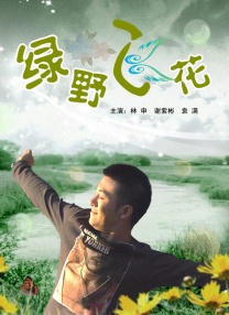 成年人视频免费